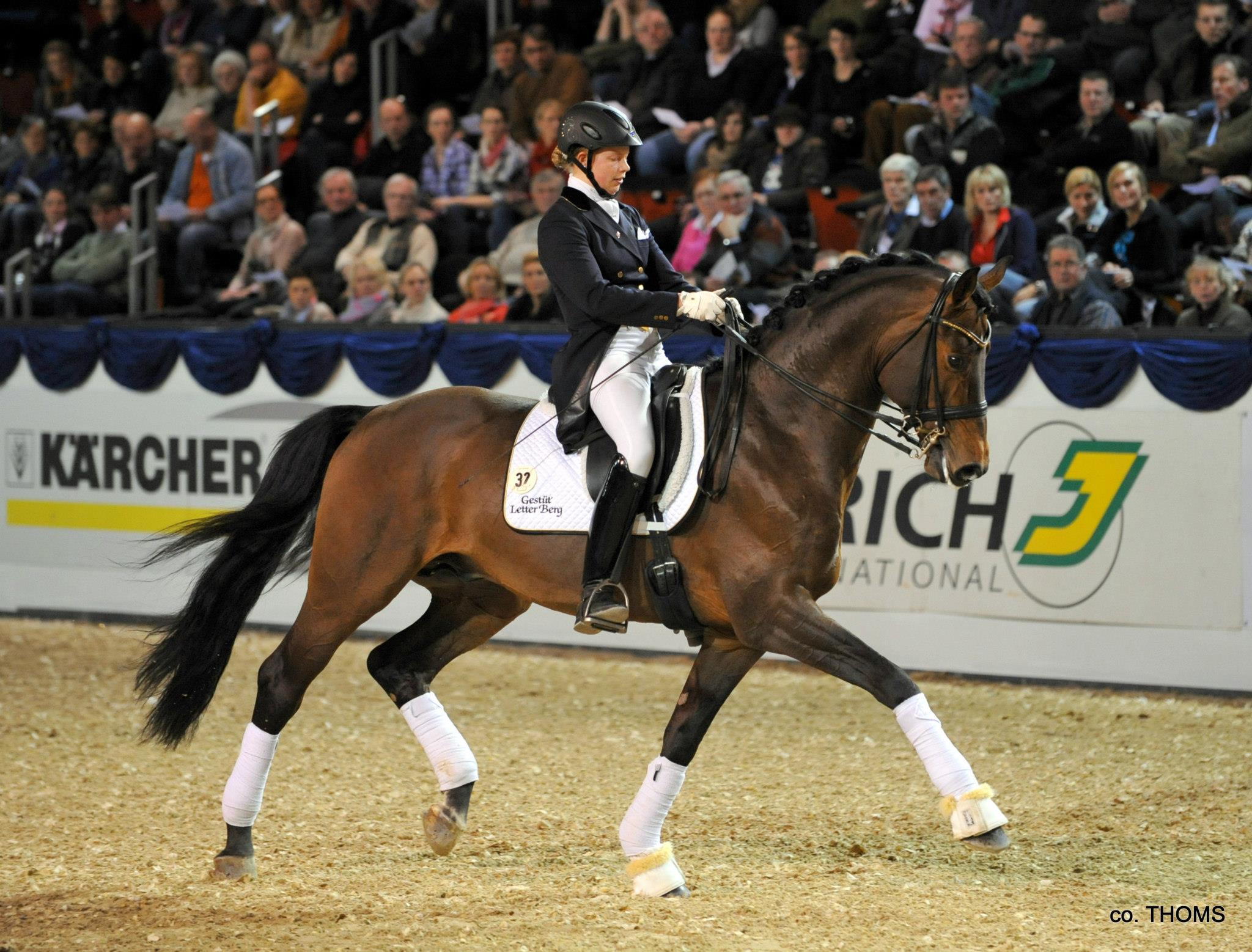 Ratze Hengstgala K+K-Cup 2013